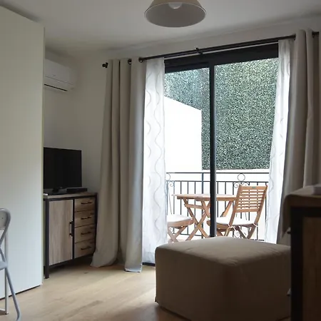 公寓 Le Patio Wilson 尼斯